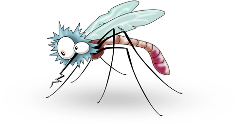 Mosquito bonito