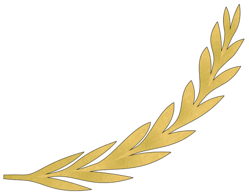 Olive Branch in gold