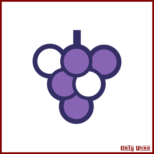 Symbole de vin et raisins