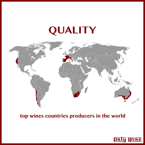 Top vína výrobci