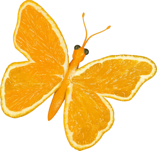 Papillon citron