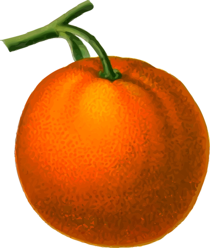 Ripe orange