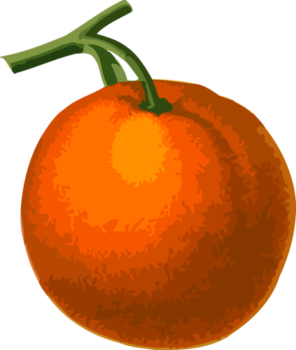 Fruta naranja