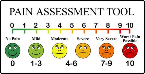 Douleur échelle vector clipart