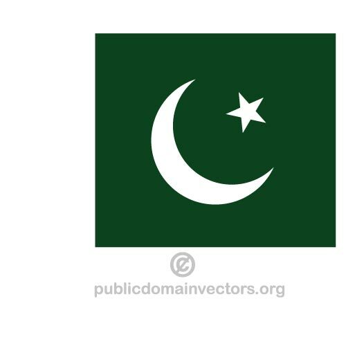 Drapeau pakistanais vector