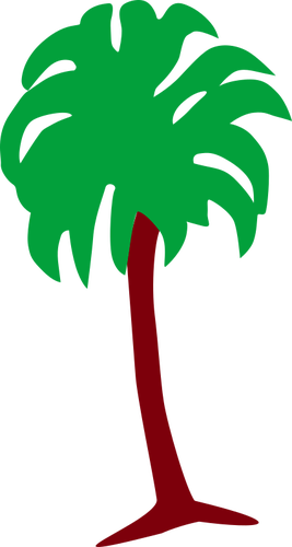 Palm tree obrázek