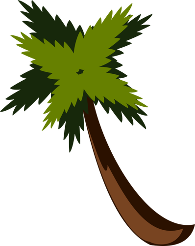 Palm tree vector de la imagen