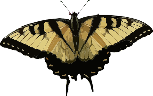 黒と茶色の蝶