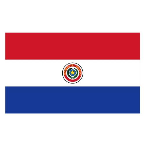 Flagga Paraguay