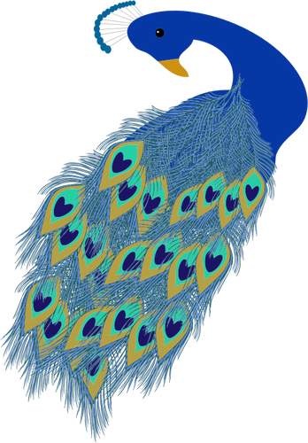 Grafik mavi tavus kuşu kuyruk ve baş
