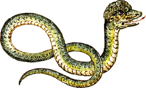 独特の蛇