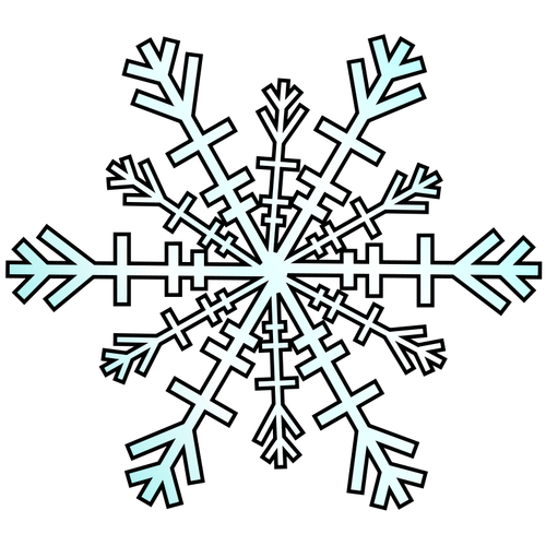 Snowflake vector graphics