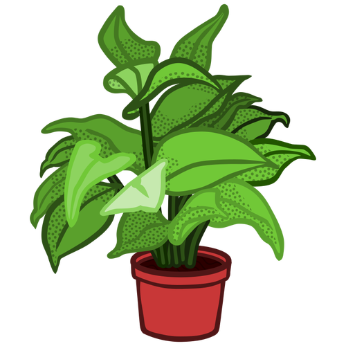 Image de plante en pot