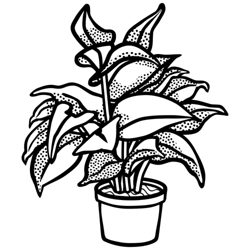 رمز النبات بوعاء