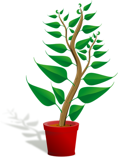 Illustration vectorielle de plante verte pot