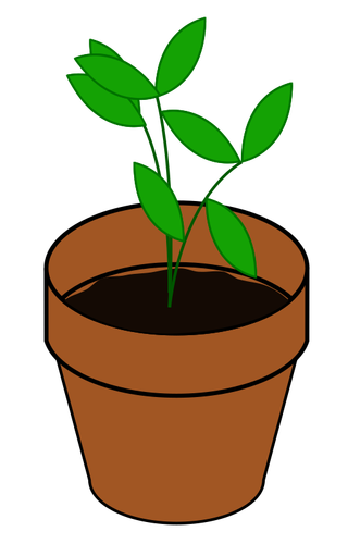 Wektorowa proste roślina w doniczce terakoty