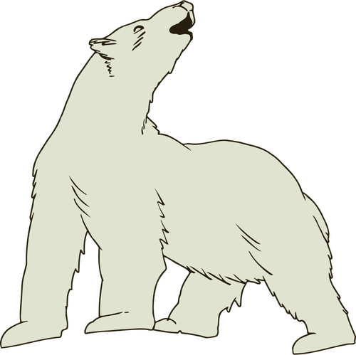 Jääkarhun vektorikuva