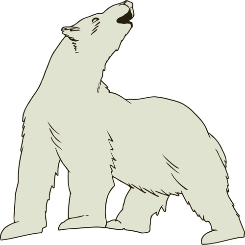 Urso polar vector imagem