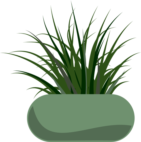 Vector graphics of grass planted in a green modern planter