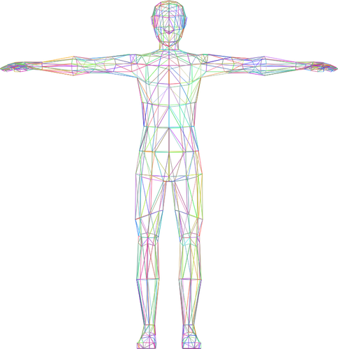Colorful wireframe man image