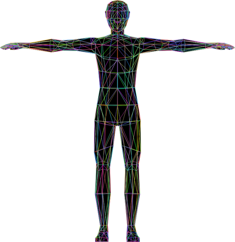 Colorful human anatomy