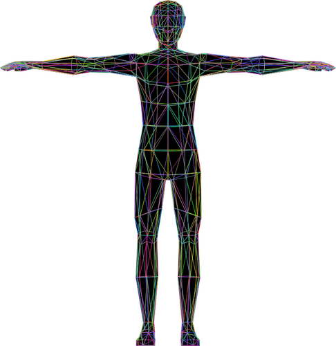 Barevné lidské anatomie