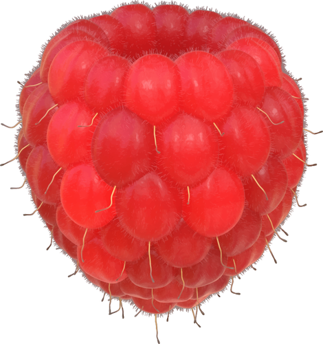 Raspberry afbeelding