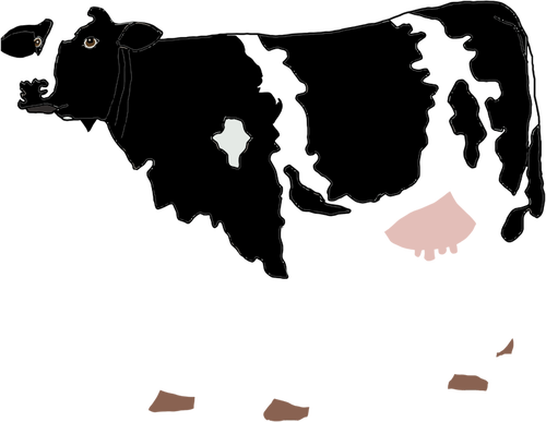牛の描画