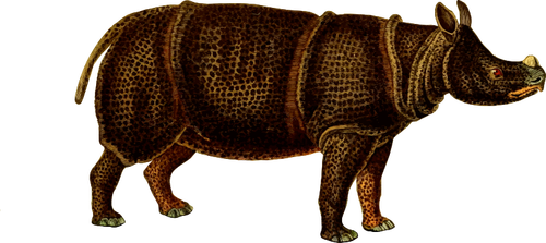 Imagem vetorial de rinoceronte