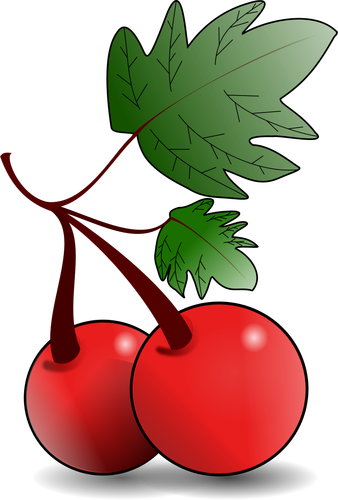 Rood fruit vectorafbeeldingen