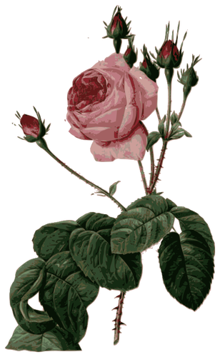 Fleuri rose rose avec feuilles