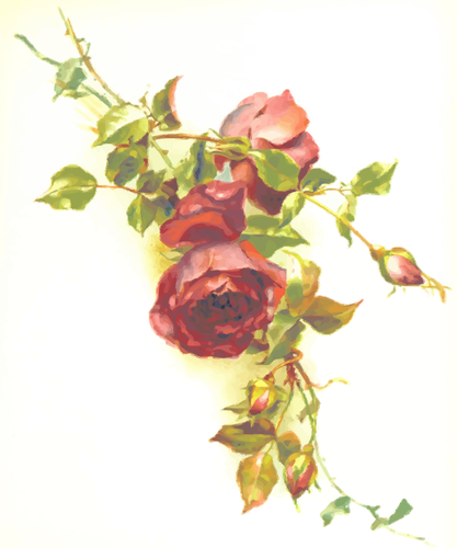 Wilde rode rozen vector afbeelding