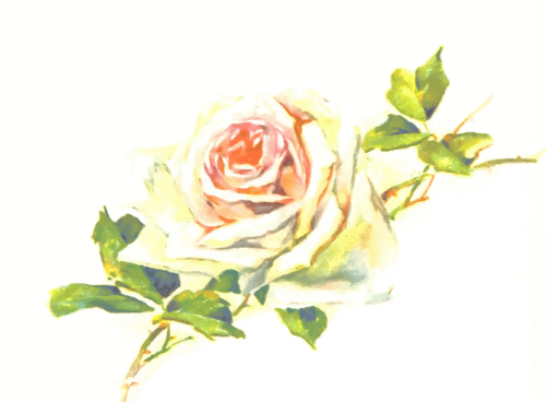 Blady vintage rose obrazu