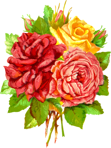 Žluté a červené růže