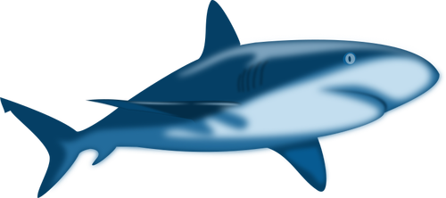 Затененные акула