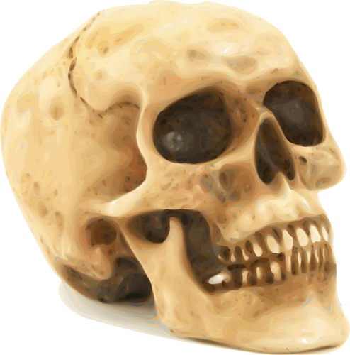 Scary Halloween Skull Vektor-ClipArts