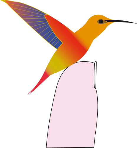 Colibrí