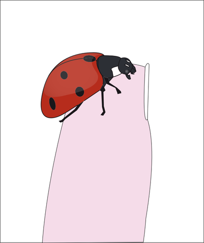 Coccinelle sur le bout des doigts