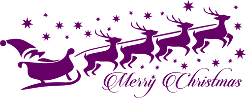 Simboluri de Crăciun violet