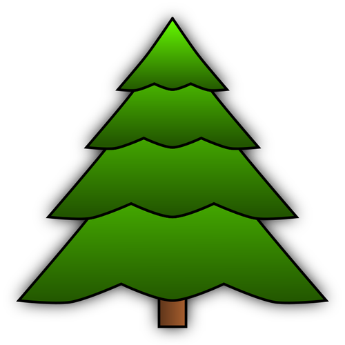 Immagine albero sempreverde