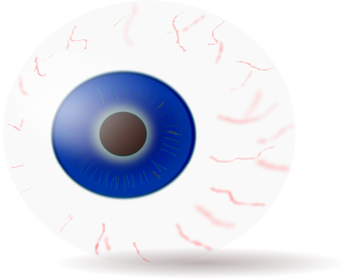 ClipArt vettoriali di un bulbo oculare completo con vene