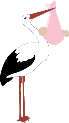 Stork Delivering Baby Girl