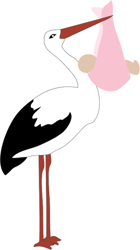 Stork Delivering Baby Girl