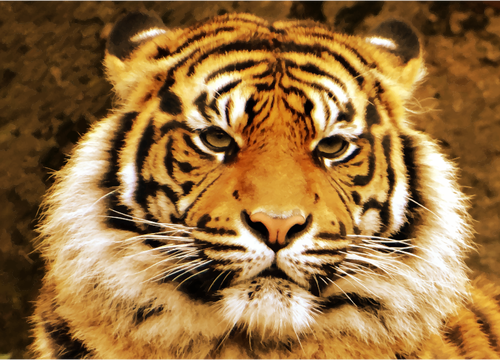 Harimau Sumatera