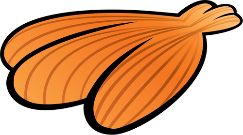 Bild von Sommer orange Meeresmuschel