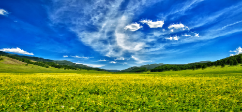 Våren enger og blå himmel