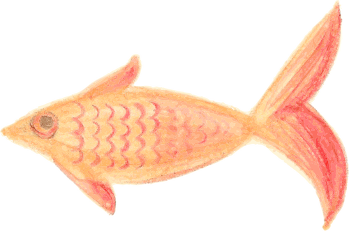 オレンジ色の魚のスケッチ