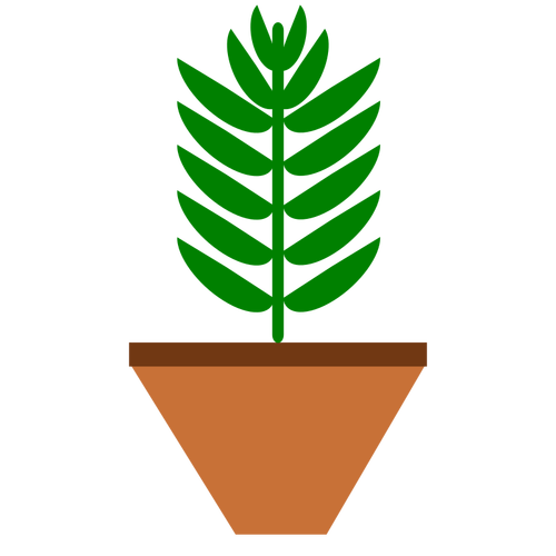 Hrnková rostlina