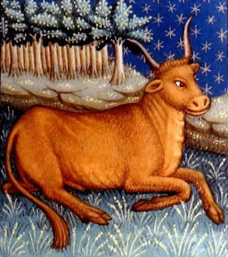 Taurus gambar