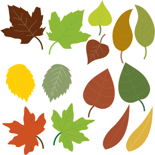 Variedade de folhas